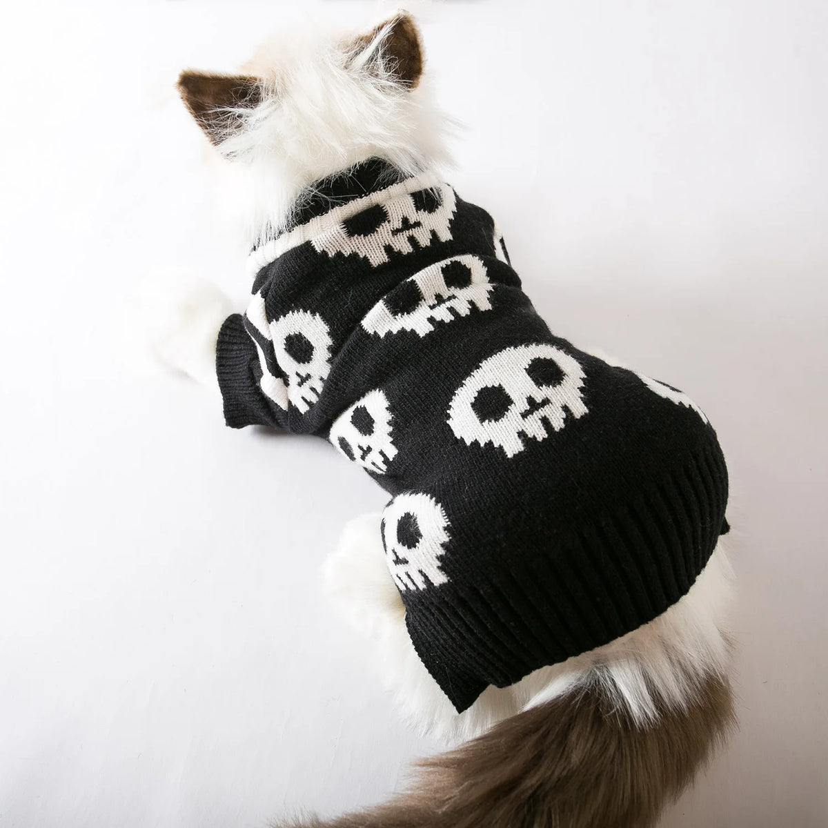 Spooky Skulls Pet Pullover