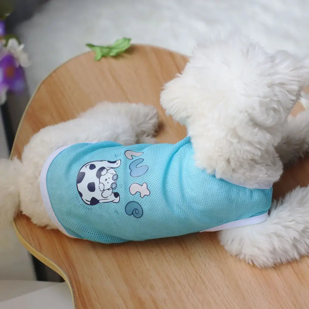 Woof Wear