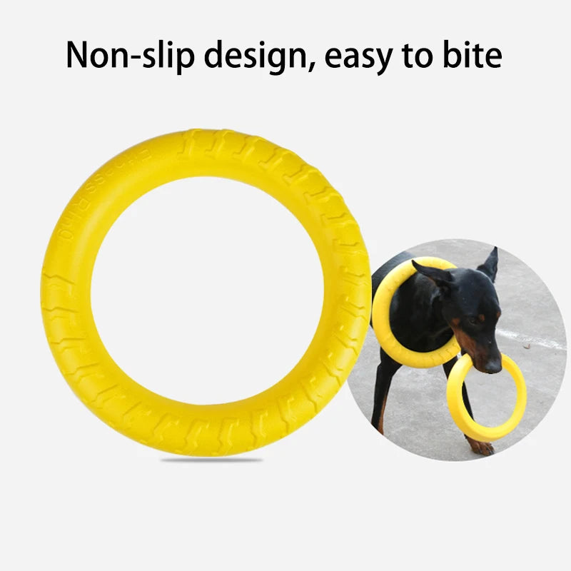 Dental Donut