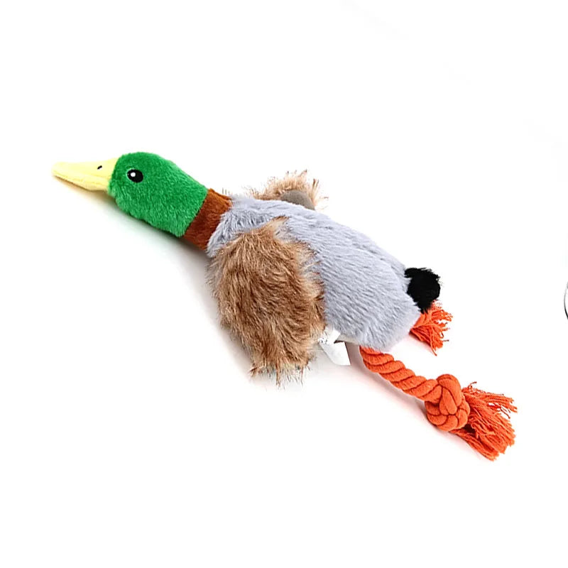 Duck Squeaky